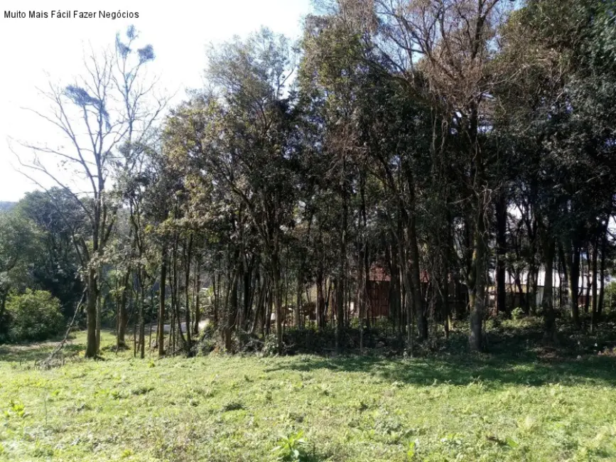 Terreno / Lote à venda em Nova Petropolis - RS - imagem 8 Foto 8 de Terreno / Lote à venda em Nova Petropolis - RS