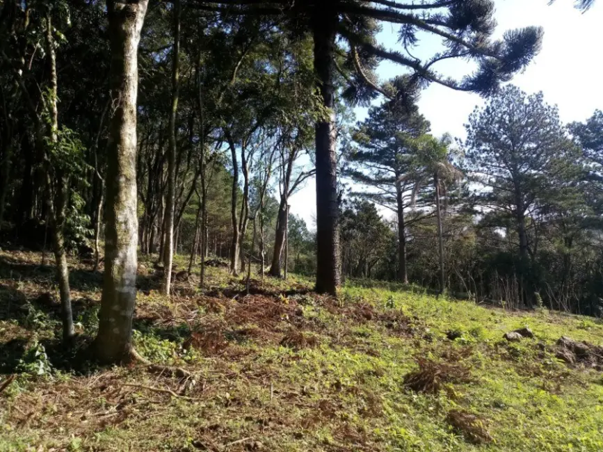 Terreno / Lote à venda em Nova Petropolis - RS - imagem 3 Foto 3 de Terreno / Lote à venda em Nova Petropolis - RS