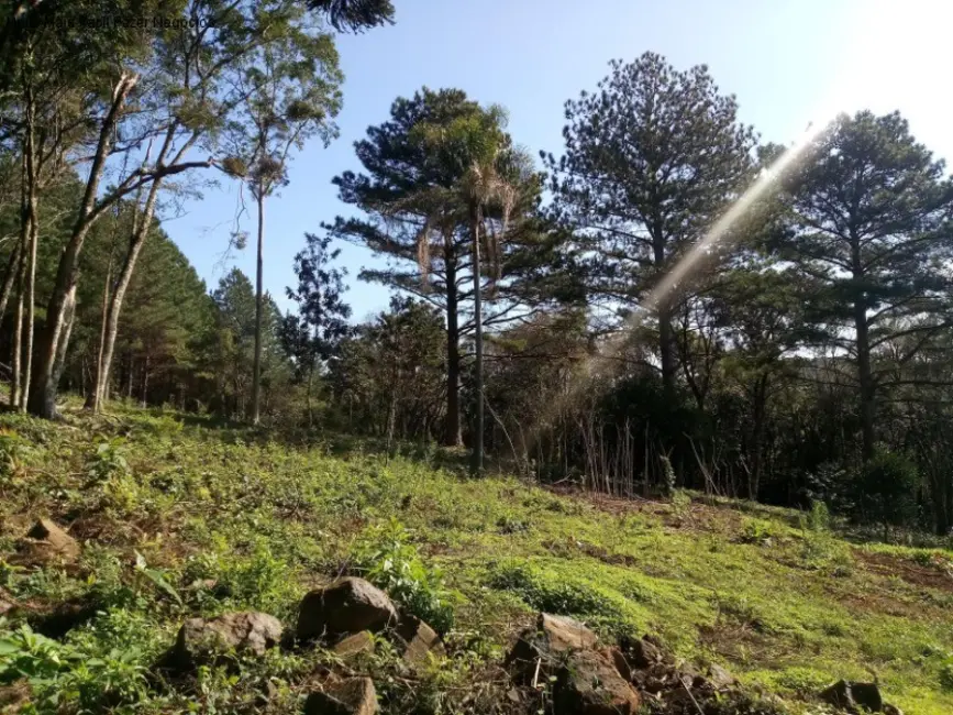 Terreno / Lote à venda em Nova Petropolis - RS - imagem 4 Foto 4 de Terreno / Lote à venda em Nova Petropolis - RS