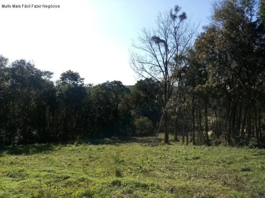 Terreno / Lote à venda em Nova Petropolis - RS - imagem 9 Foto 9 de Terreno / Lote à venda em Nova Petropolis - RS