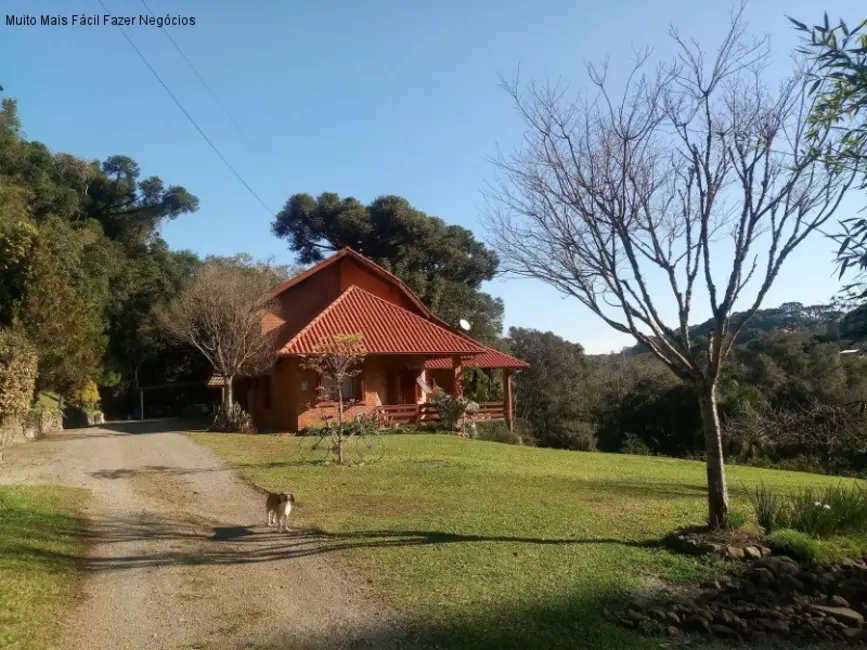 Foto 2 de Casa com 3 quartos à venda, 296m2 em Nova Petropolis - RS