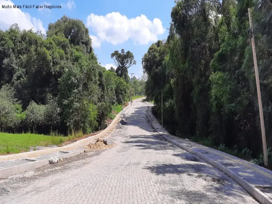 Foto 5 de Casa com 3 quartos à venda, 296m2 em Nova Petropolis - RS