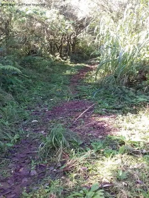 Terreno / Lote à venda em Nova Petropolis - RS - imagem 7 Foto 7 de Terreno / Lote à venda em Nova Petropolis - RS