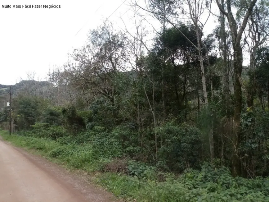 Foto 1 de Terreno / Lote à venda em Nova Petropolis - RS