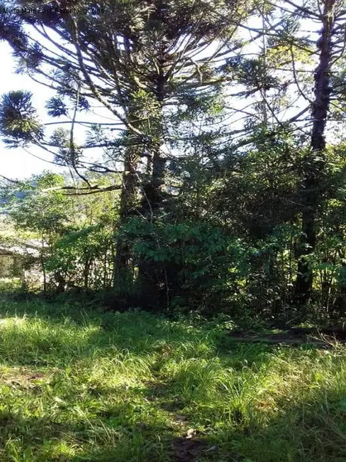Terreno / Lote à venda em Nova Petropolis - RS - imagem 9 Foto 9 de Terreno / Lote à venda em Nova Petropolis - RS