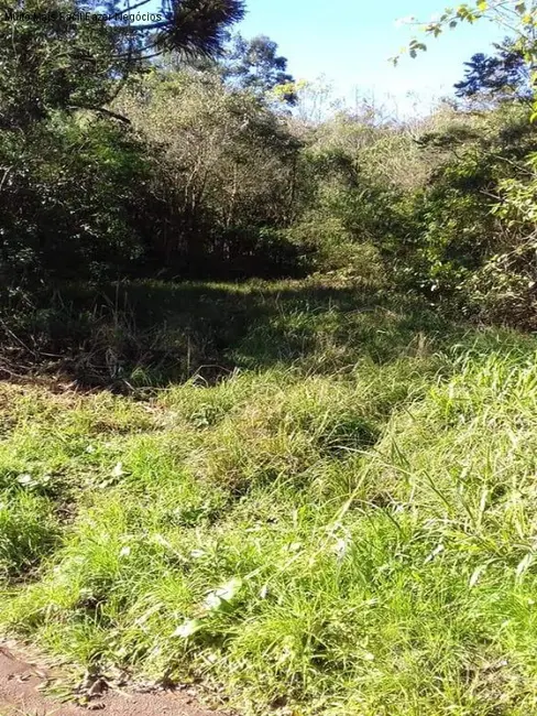 Terreno / Lote à venda em Nova Petropolis - RS - imagem 5 Foto 5 de Terreno / Lote à venda em Nova Petropolis - RS