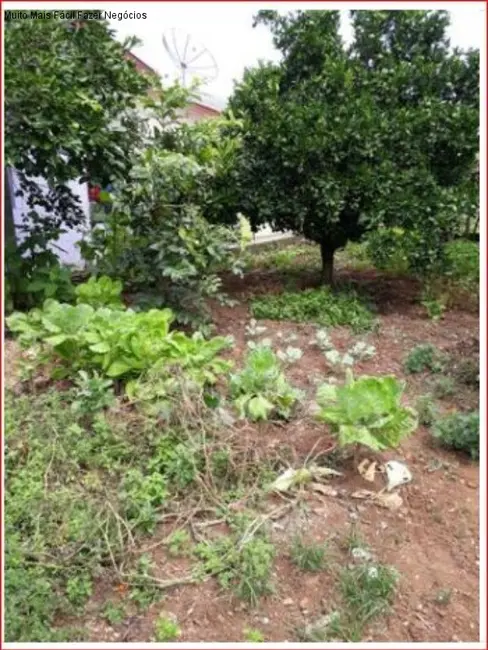 Foto 5 de Casa com 5 quartos à venda, 244m2 em Nova Petropolis - RS