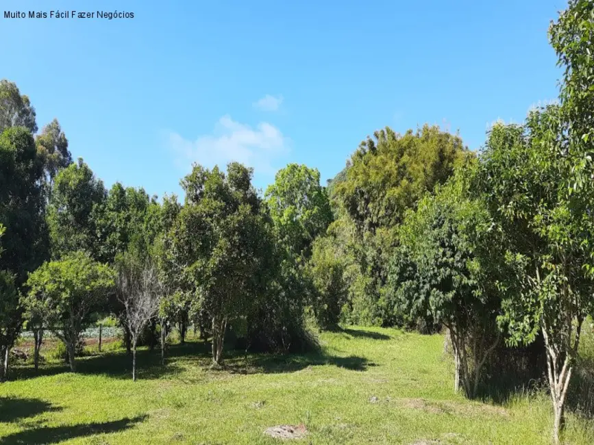 Terreno / Lote à venda, 95m2 em Nova Petropolis - RS - imagem 8 Foto 8 de Terreno / Lote à venda, 95m2 em Nova Petropolis - RS