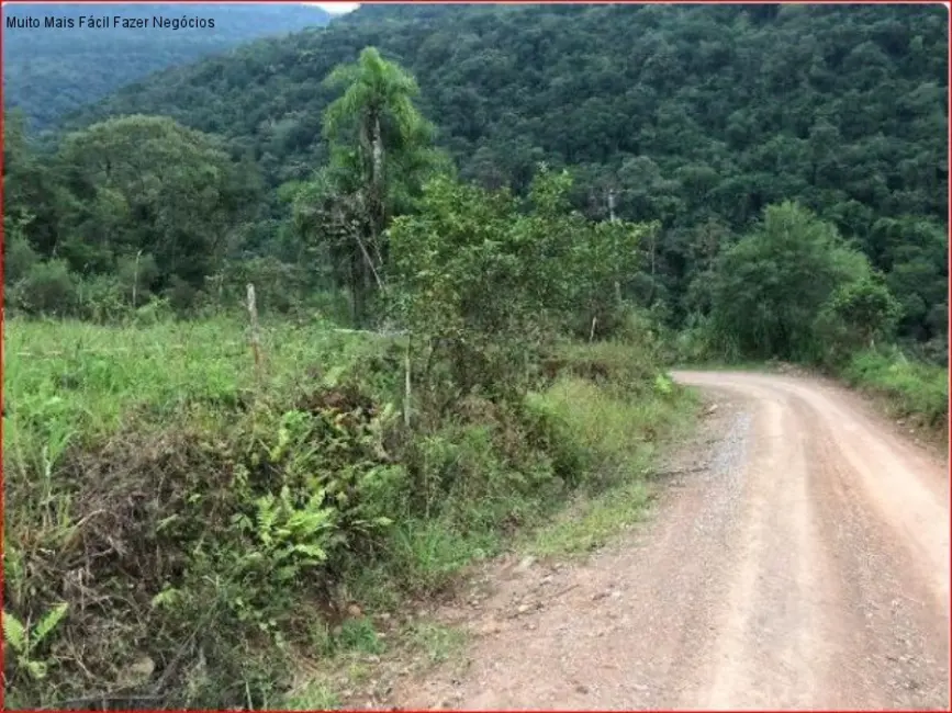 Foto 2 de Terreno / Lote à venda em Nova Petropolis - RS