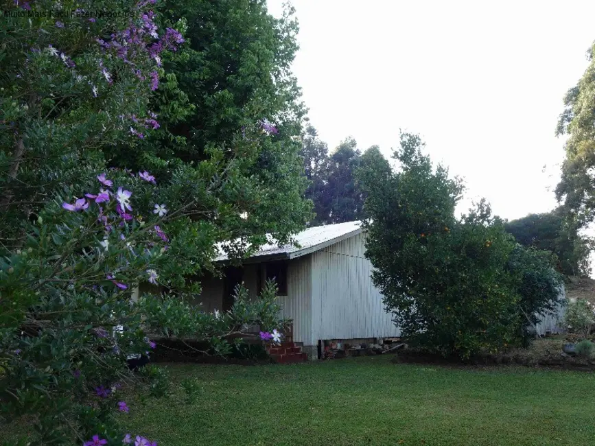 Foto 9 de Sítio / Rancho com 2 quartos à venda, 100m2 em Nova Petropolis - RS