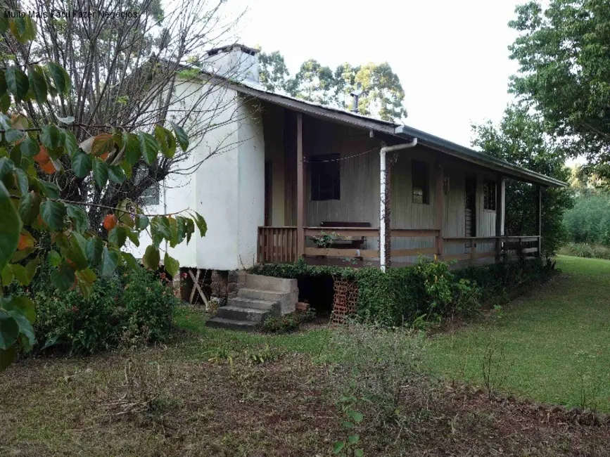 Foto 5 de Sítio / Rancho com 2 quartos à venda, 100m2 em Nova Petropolis - RS