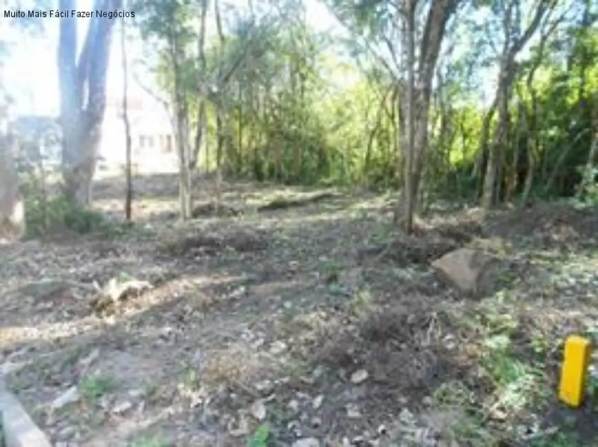 Foto 1 de Terreno / Lote à venda, 528m2 em Nova Petropolis - RS