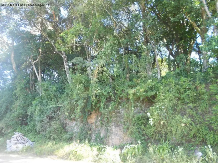Terreno / Lote à venda, 405m2 em Nova Petropolis - RS - imagem 1 Foto 1 de Terreno / Lote à venda, 405m2 em Nova Petropolis - RS