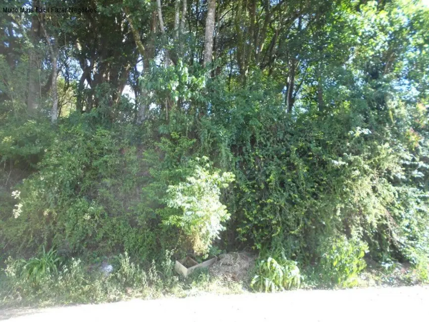Terreno / Lote à venda, 405m2 em Nova Petropolis - RS - imagem 5 Foto 5 de Terreno / Lote à venda, 405m2 em Nova Petropolis - RS