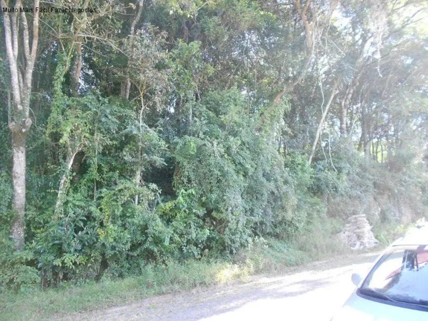 Terreno / Lote à venda, 405m2 em Nova Petropolis - RS - imagem 3 Foto 3 de Terreno / Lote à venda, 405m2 em Nova Petropolis - RS