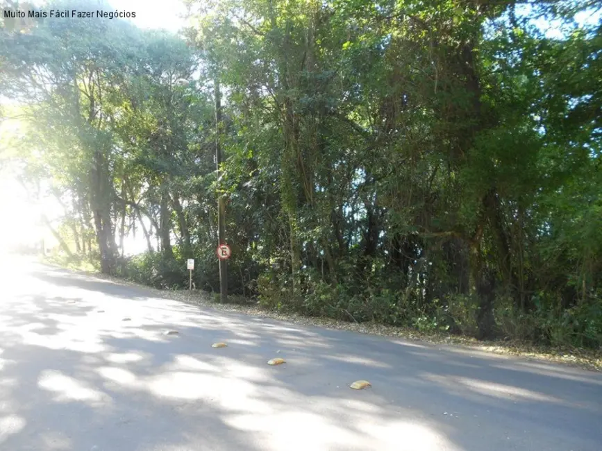 Terreno / Lote à venda, 405m2 em Nova Petropolis - RS - imagem 8 Foto 8 de Terreno / Lote à venda, 405m2 em Nova Petropolis - RS