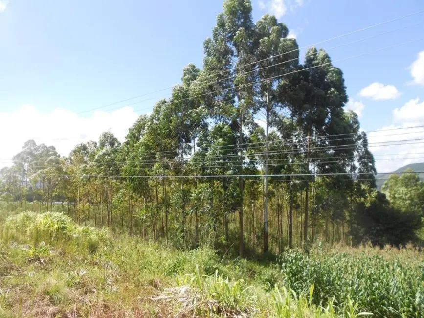 Terreno / Lote à venda em Nova Petropolis - RS - imagem 4 Foto 4 de Terreno / Lote à venda em Nova Petropolis - RS