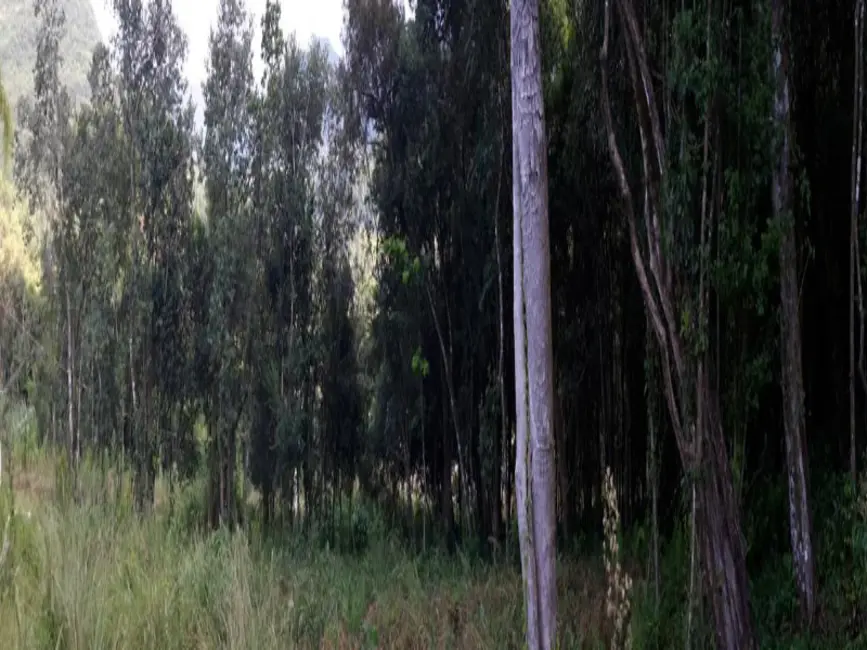 Terreno / Lote à venda, 407m2 em Picada Cafe - RS - imagem 3 Foto 3 de Terreno / Lote à venda, 407m2 em Picada Cafe - RS