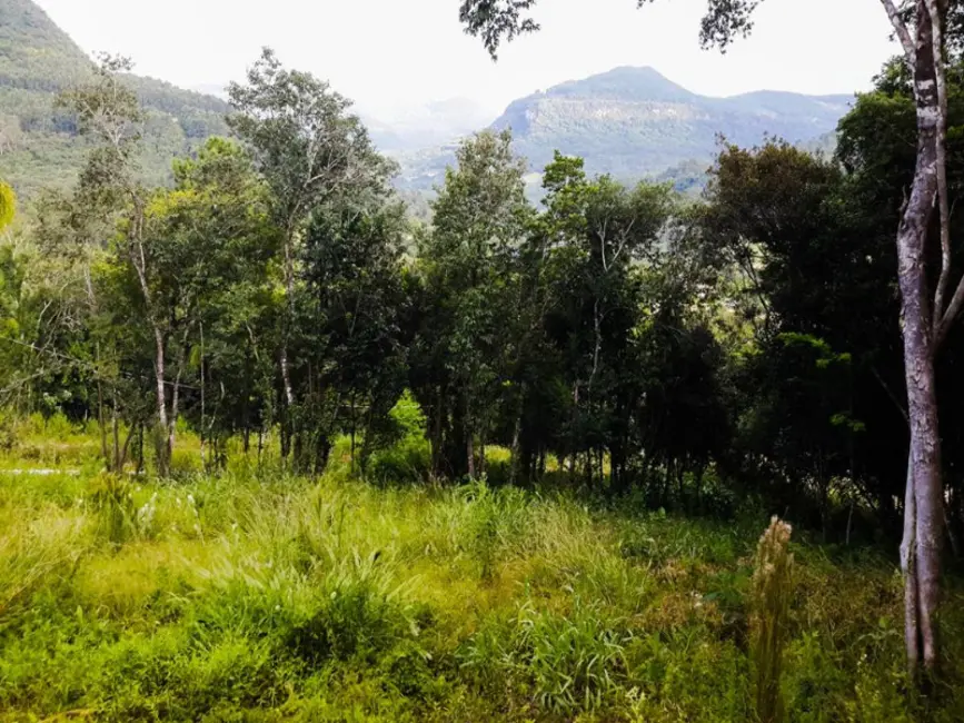 Terreno / Lote à venda, 407m2 em Picada Cafe - RS - imagem 5 Foto 5 de Terreno / Lote à venda, 407m2 em Picada Cafe - RS