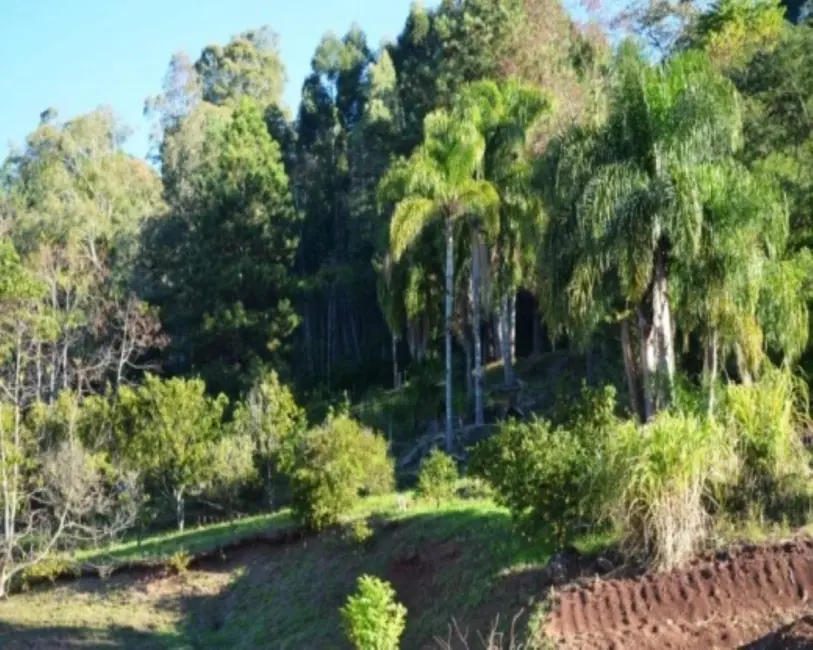 Terreno / Lote à venda em Nova Petropolis - RS - imagem 5 Foto 5 de Terreno / Lote à venda em Nova Petropolis - RS