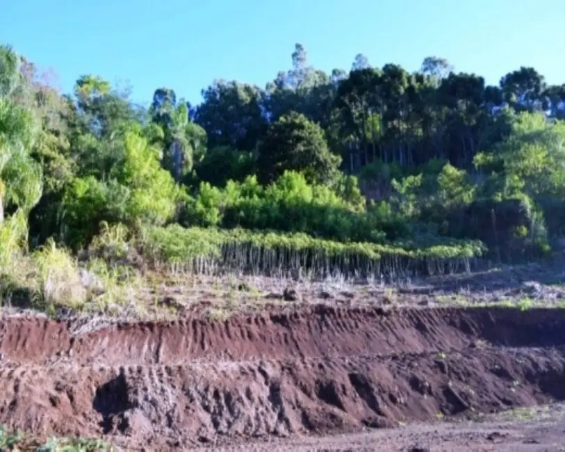 Terreno / Lote à venda em Nova Petropolis - RS - imagem 8 Foto 8 de Terreno / Lote à venda em Nova Petropolis - RS