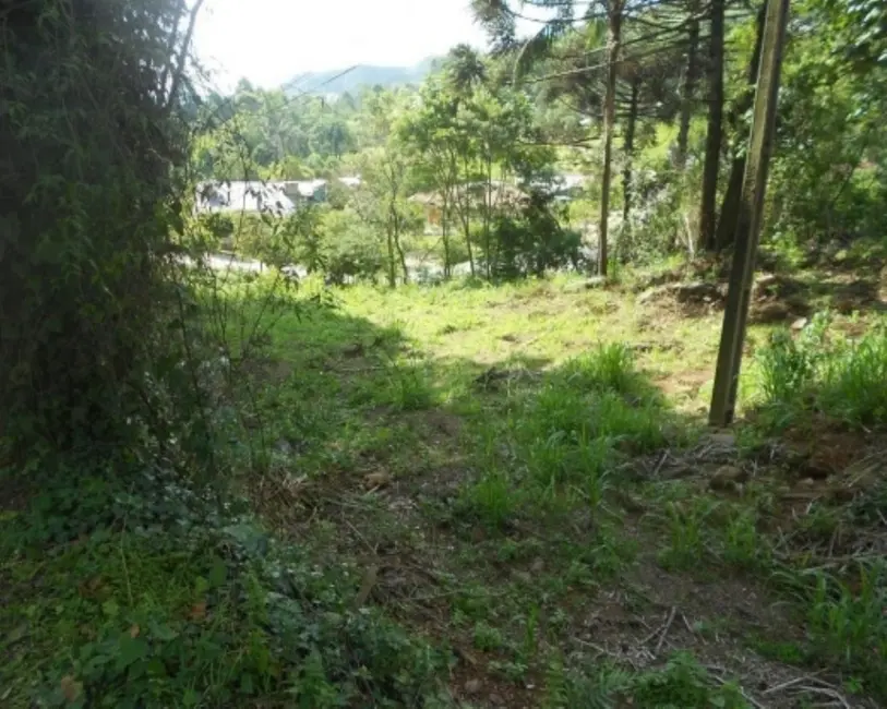Terreno / Lote à venda, 2500m2 em Nova Petropolis - RS - imagem 9 Foto 9 de Terreno / Lote à venda, 2500m2 em Nova Petropolis - RS