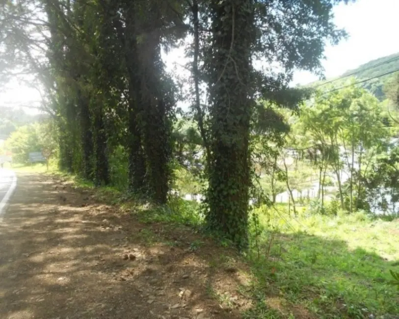 Terreno / Lote à venda, 2500m2 em Nova Petropolis - RS - imagem 3 Foto 3 de Terreno / Lote à venda, 2500m2 em Nova Petropolis - RS