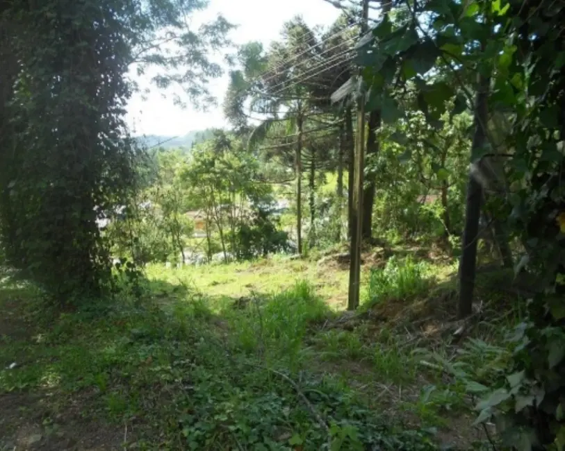 Terreno / Lote à venda, 2500m2 em Nova Petropolis - RS - imagem 5 Foto 5 de Terreno / Lote à venda, 2500m2 em Nova Petropolis - RS