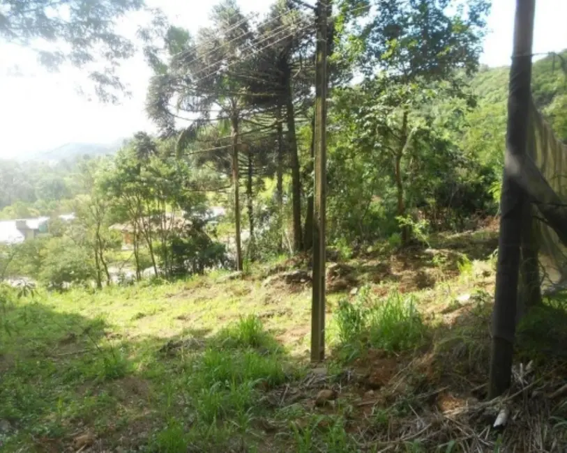 Foto 1 de Terreno / Lote à venda, 2500m2 em Nova Petropolis - RS