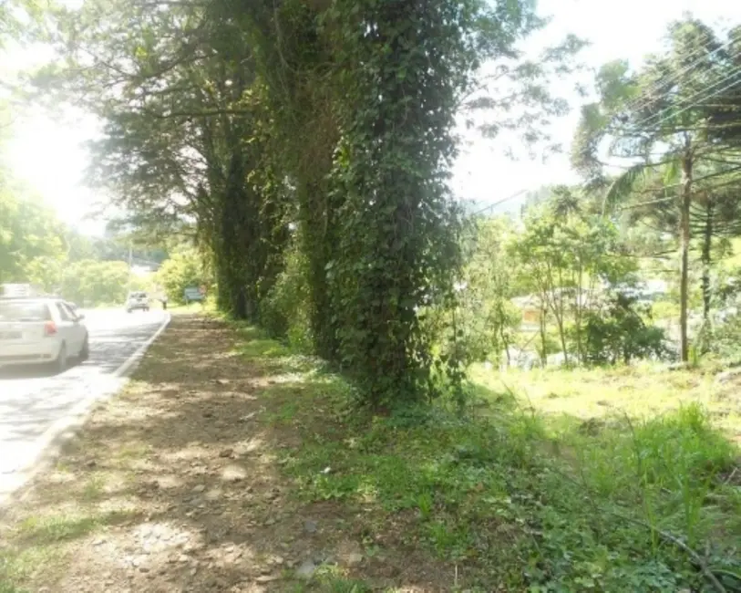 Terreno / Lote à venda, 2500m2 em Nova Petropolis - RS - imagem 4 Foto 4 de Terreno / Lote à venda, 2500m2 em Nova Petropolis - RS