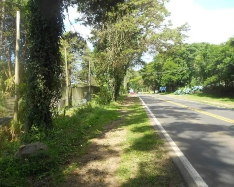 Terreno / Lote à venda, 2500m2 em Nova Petropolis - RS - imagem 6 Foto 6 de Terreno / Lote à venda, 2500m2 em Nova Petropolis - RS