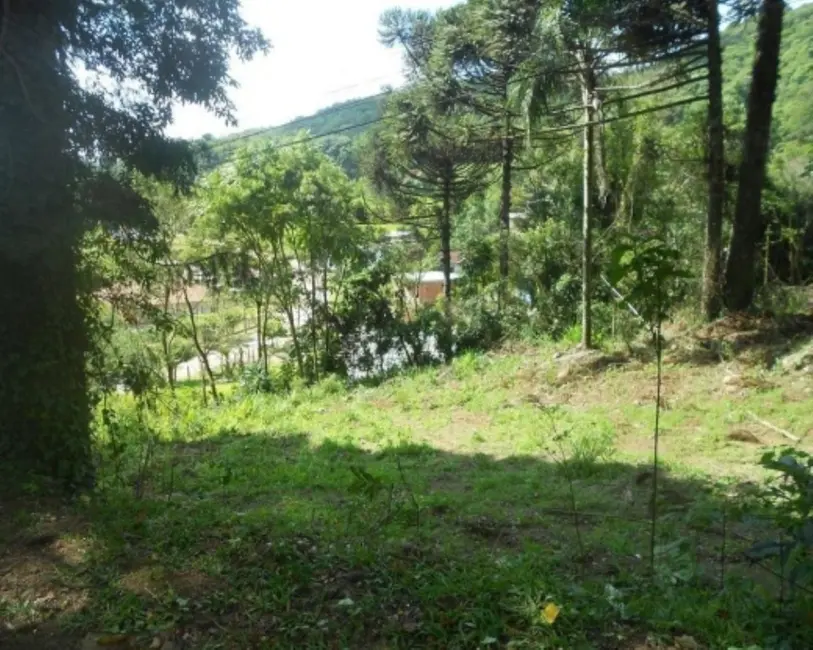 Terreno / Lote à venda, 2500m2 em Nova Petropolis - RS - imagem 7 Foto 7 de Terreno / Lote à venda, 2500m2 em Nova Petropolis - RS
