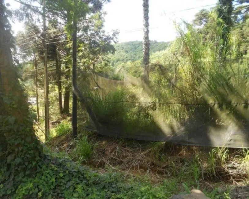 Foto 2 de Terreno / Lote à venda, 2500m2 em Nova Petropolis - RS