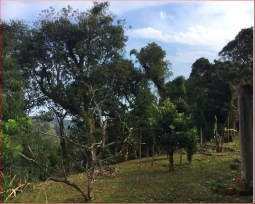 Casa com 2 quartos à venda, 323m2 em Nova Petropolis - RS - imagem 4 Foto 4 de Casa com 2 quartos à venda, 323m2 em Nova Petropolis - RS