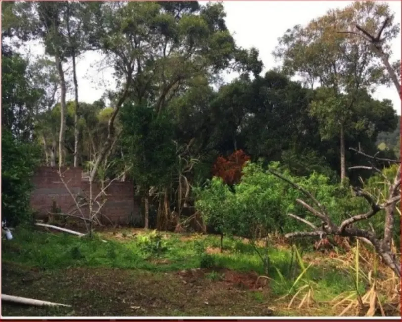 Casa com 2 quartos à venda, 323m2 em Nova Petropolis - RS - imagem 5 Foto 5 de Casa com 2 quartos à venda, 323m2 em Nova Petropolis - RS