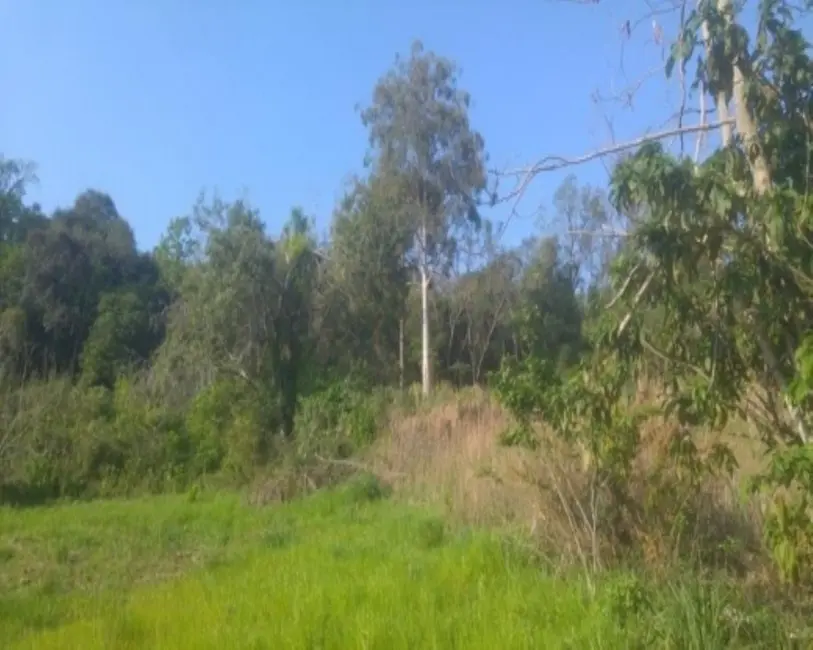 Terreno / Lote à venda, 3383m2 em Nova Petropolis - RS - imagem 4 Foto 4 de Terreno / Lote à venda, 3383m2 em Nova Petropolis - RS
