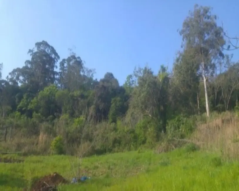 Terreno / Lote à venda, 3383m2 em Nova Petropolis - RS - imagem 3 Foto 3 de Terreno / Lote à venda, 3383m2 em Nova Petropolis - RS