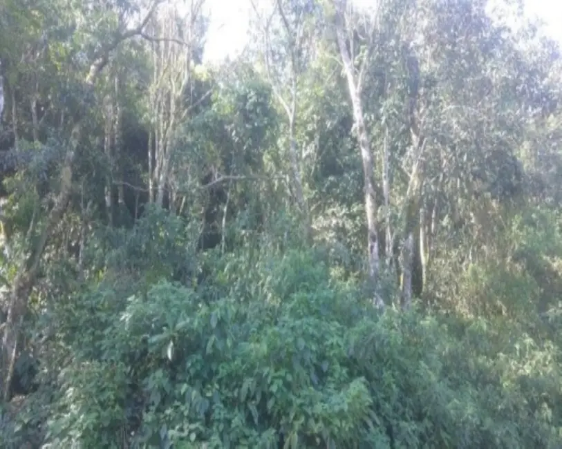Terreno / Lote à venda em Nova Petropolis - RS - imagem 4 Foto 4 de Terreno / Lote à venda em Nova Petropolis - RS