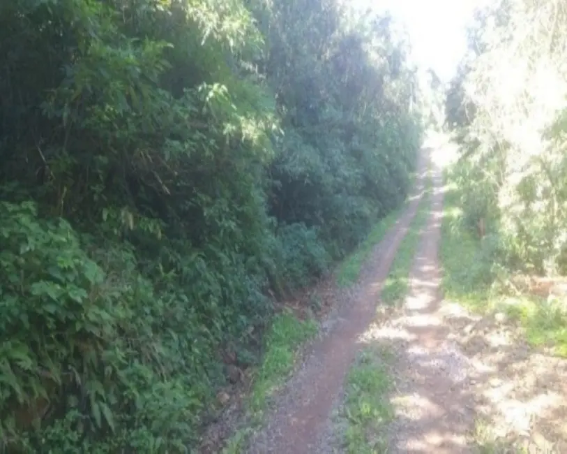 Terreno / Lote à venda em Nova Petropolis - RS - imagem 5 Foto 5 de Terreno / Lote à venda em Nova Petropolis - RS