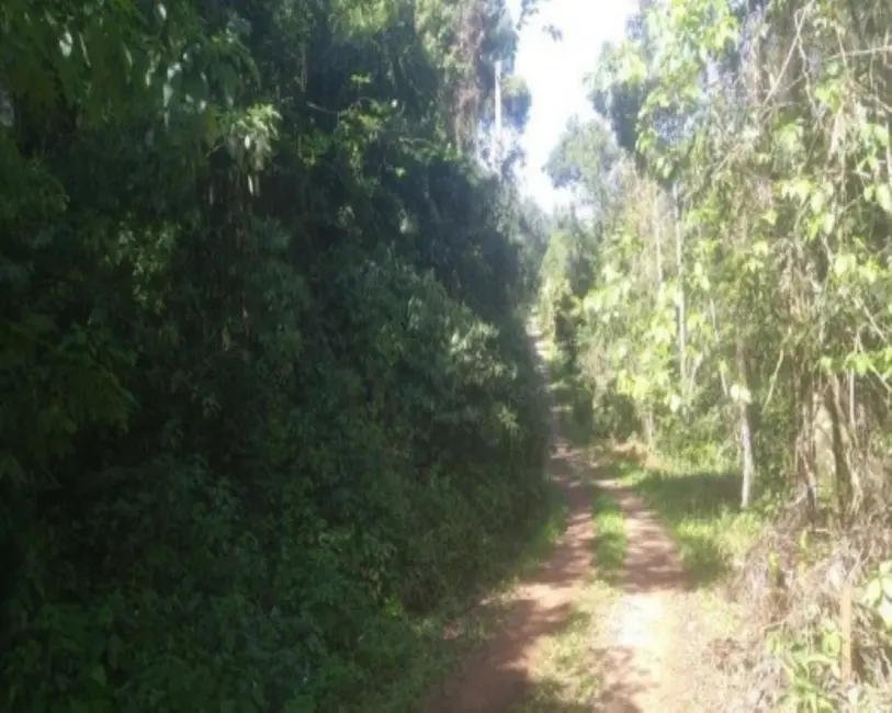 Foto 2 de Terreno / Lote à venda em Nova Petropolis - RS