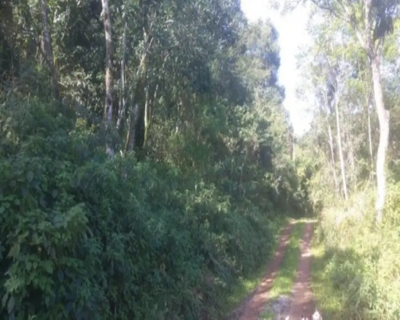 Terreno / Lote à venda em Nova Petropolis - RS - imagem 6 Foto 6 de Terreno / Lote à venda em Nova Petropolis - RS