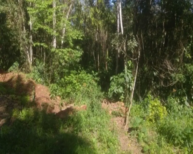 Terreno / Lote à venda em Nova Petropolis - RS - imagem 3 Foto 3 de Terreno / Lote à venda em Nova Petropolis - RS