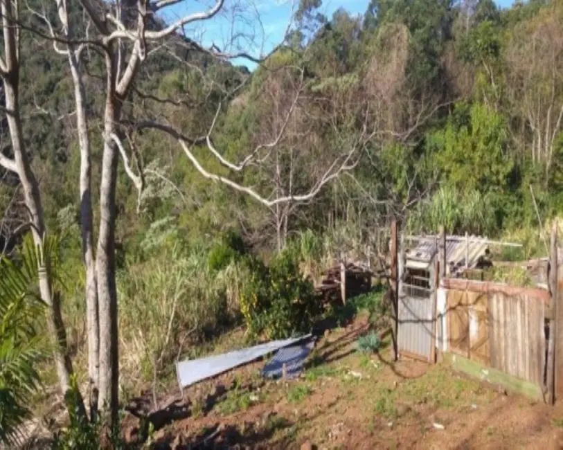 Foto 7 de Sítio / Rancho com 3 quartos à venda, 65m2 em Nova Petropolis - RS