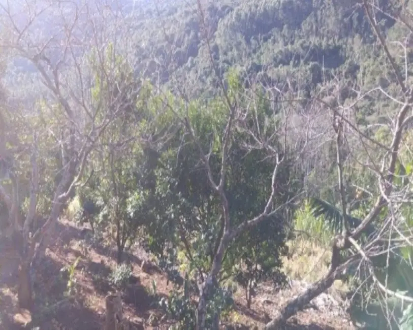 Foto 5 de Sítio / Rancho com 3 quartos à venda, 65m2 em Nova Petropolis - RS