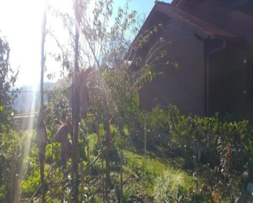 Foto 9 de Casa com 3 quartos à venda, 160m2 em Nova Petropolis - RS