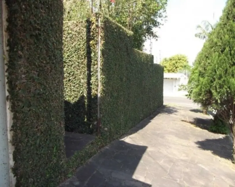 Casa com 3 quartos à venda, 160m2 em Santo Afonso, Novo Hamburgo - RS - imagem 4 Foto 4 de Casa com 3 quartos à venda, 160m2 em Santo Afonso, Novo Hamburgo - RS