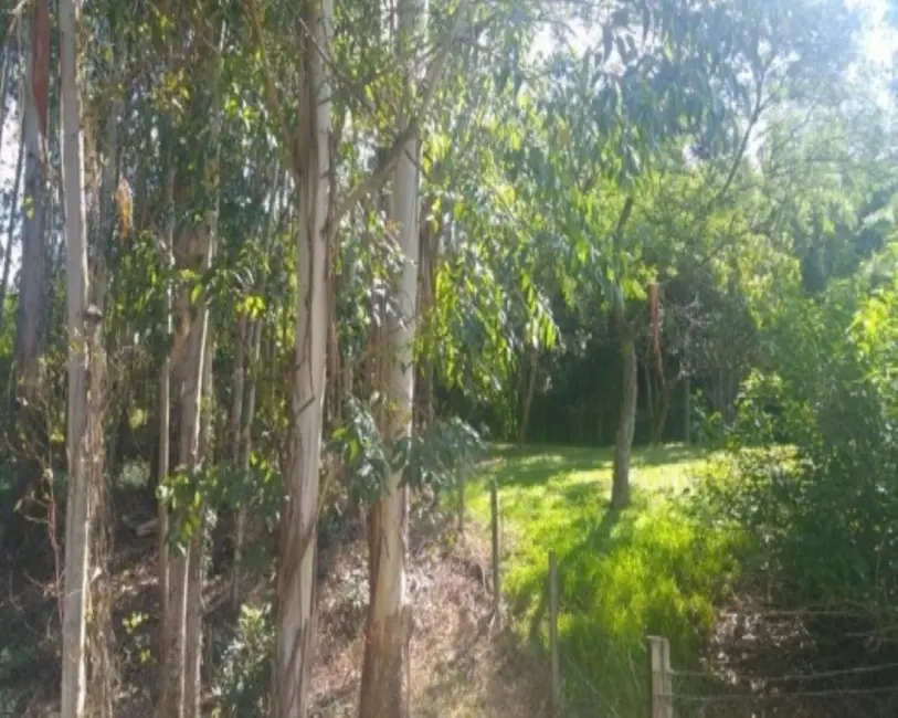 Sítio / Rancho com 4 quartos à venda, 168m2 em Vila Cristina, Caxias Do Sul - RS - imagem 5 Foto 5 de Sítio / Rancho com 4 quartos à venda, 168m2 em Vila Cristina, Caxias Do Sul - RS