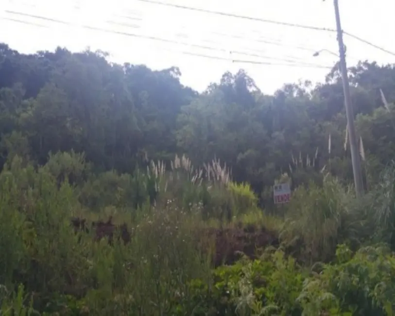 Foto 3 de Terreno / Lote à venda, 418m2 em Nova Petropolis - RS