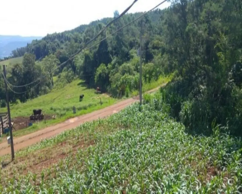 Foto 4 de Sítio / Rancho com 3 quartos à venda, 238m2 em Nova Petropolis - RS