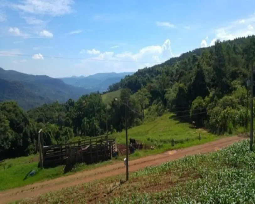 Foto 2 de Sítio / Rancho com 3 quartos à venda, 238m2 em Nova Petropolis - RS